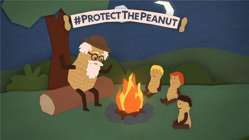 Our Peanut Farming Practices: A Commitment to Save the Peanut | Mars
